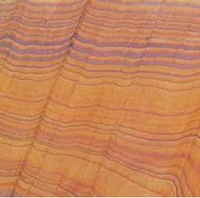 Rainbow Teak Sandstone