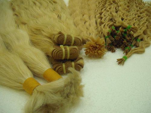 Bulk & Weft Human Hairs