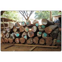 Burma Teak Round Logs