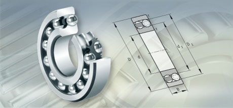 Self-Aligning Ball Bearings