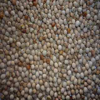 Toor (Pigeon Peas)