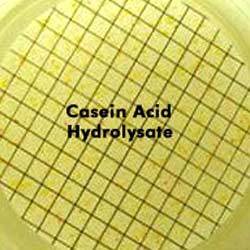 Casein Acid Hydrolysate