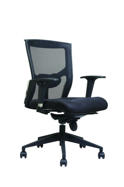 Executive Low Back Chairs