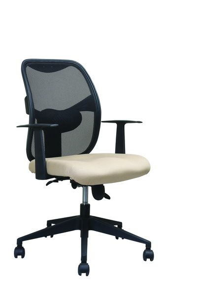 Executive Low Back Chair