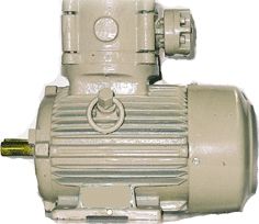 Foot Mounted Flame Proof Electric Motor