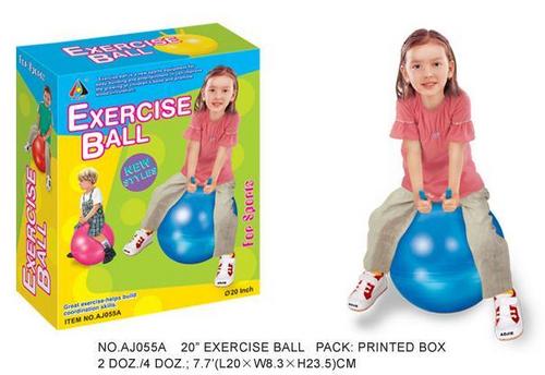 Exercise Balls