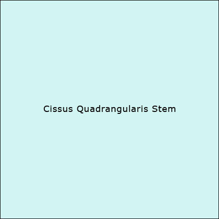 Cissus Quadrangularis Stem