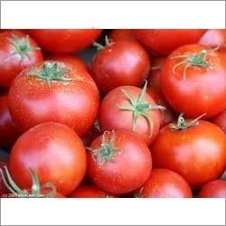 Fresh Tomato