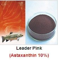 Leader Pink-Astaxanthin 10% CWS