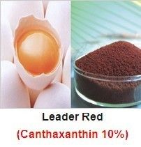Leader Red-Canthaxanthin 10% CWD