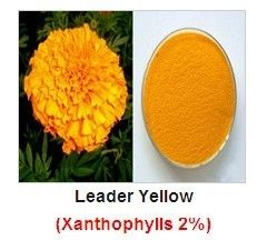 Leader Yellow-Xanthophylls 2%