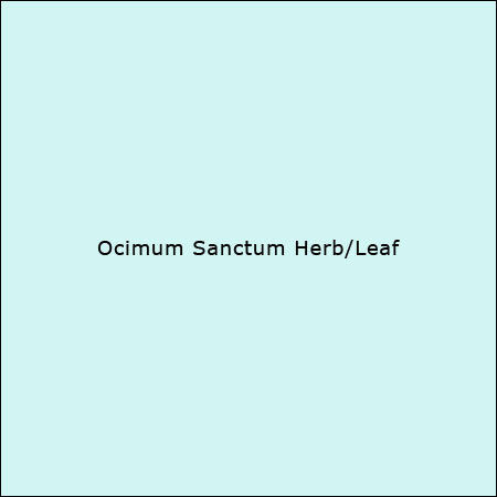 Ocimum Sanctum Herb/Leaf