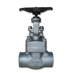 Forged Steel Valves