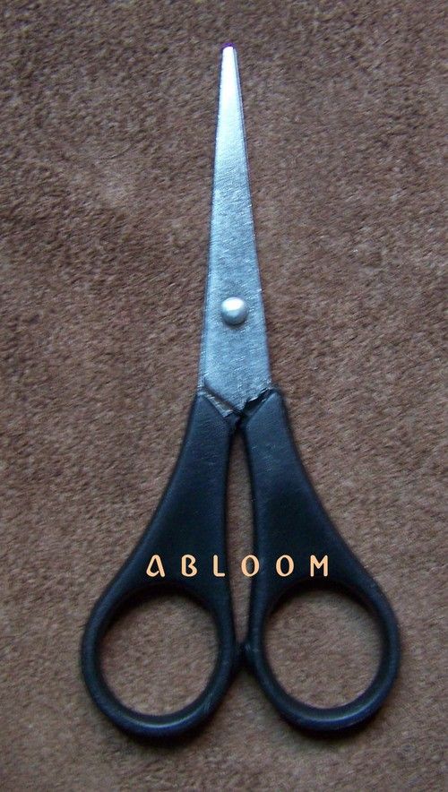 Office Scissors