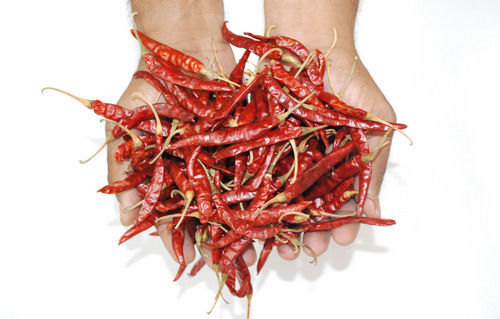 Red Chilly