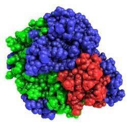 Enzymes Cellulase