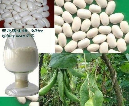 White Kidney Bean Extract