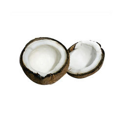 Fresh Coconut