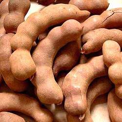 Fresh Tamarind