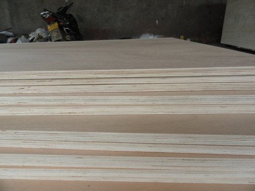 Hardwood Film Face Plywood