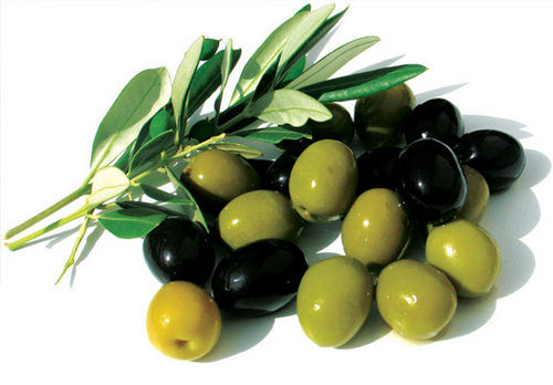 Olive Oil