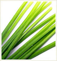 Citronella Oil