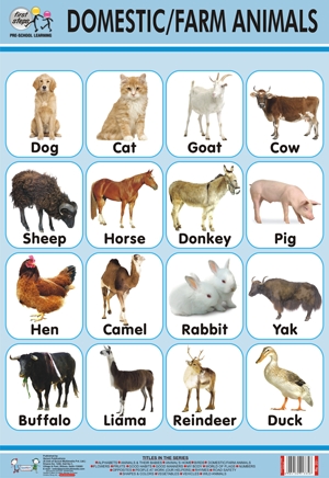 Sikkim Animals Name Chart / Prototypic Wild Animals Chart With Names