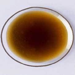 Neem Oil