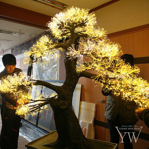 Lighting Trees