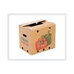 Fruits And Flowers Export Boxes