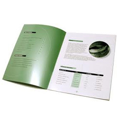 Annual Report Printing Service By Anita Art Printers