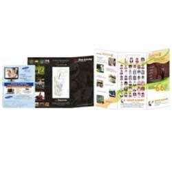 Designer Brochures