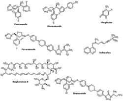 Antifungus