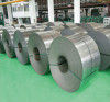 Stainless Steel Sheet