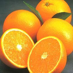 Valencia Orange