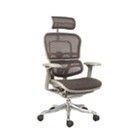 Mesh Executive Chair - Quality Leather, Ergonomic Design | Optimal Comfort, Stylish Office Aesthetic