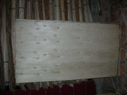 Eucalyptus Core Veneers