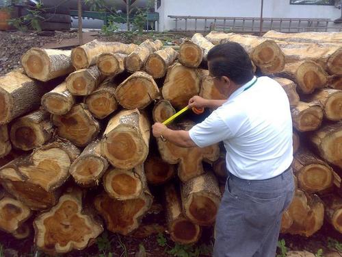 Teak Rough Square Logs