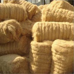 Coir Fibre