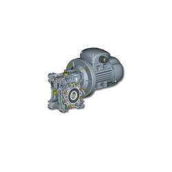 Worm Geared Motors