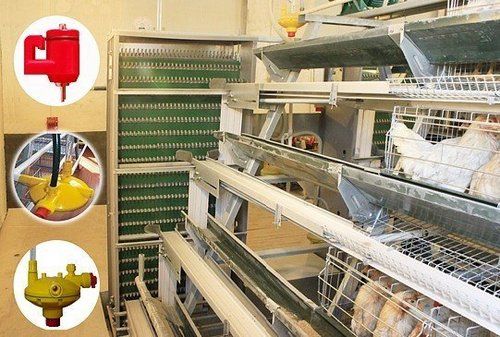 Automatic Egg Chicken Cage Breeding Equipments