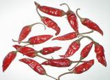 S7 Chillies