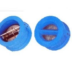 Dual Plate Check Valve