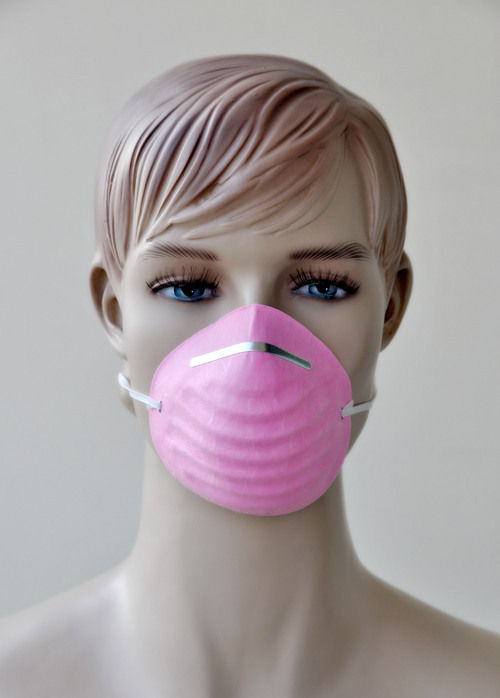 N95 Dust Mask