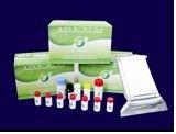 Green Spring Nitrofuran (AMOZ) ELISA Test Kits