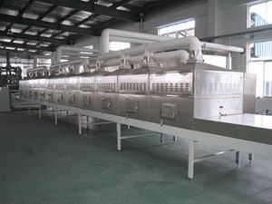 Microwave Condiment Drying and Sterilizing Machine