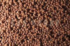 Chickpeas (Chana) Deshi