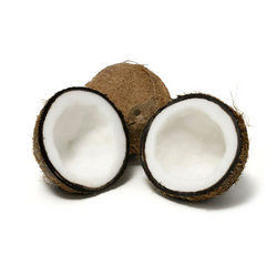 Organic Coconut