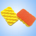 Cleaning Sponge (Cs05)