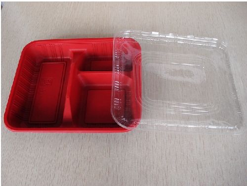 Plastic Case of Food Container